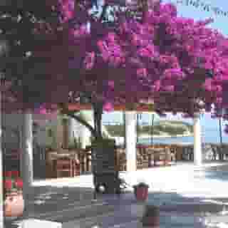 Imerolia Studios, 1 of 5