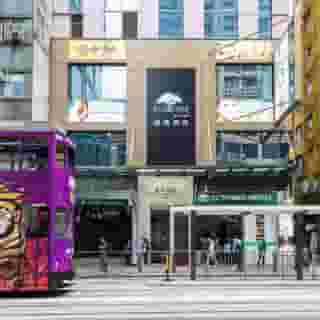 Eco Tree Hotel, 1 of 5