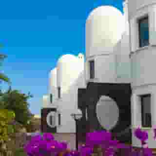 Tabaiba Center, 2 of 5