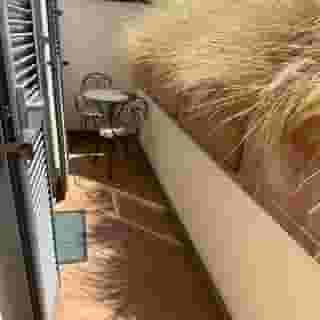 Principe di Piemonte, 1 of 5