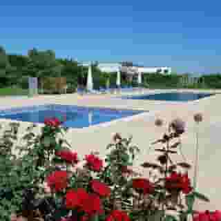 BejaParque Hotel, 5 of 5