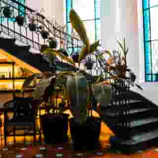 Orchid House Polanco, 4 of 5