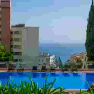 Dorisol Mimosa, 3 of 5