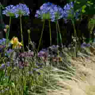 Hotel Lucrezia, 3 of 5