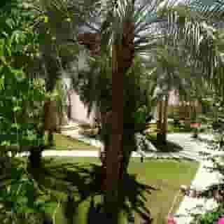 Luna Sharm Hotel, 6 of 6