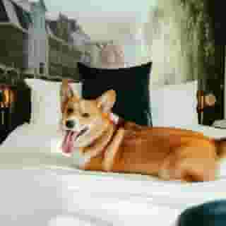 Marriott Ghent, 5 of 5