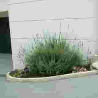 Sugar & Almond, 4 of 5