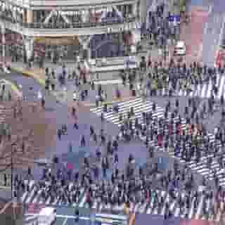 Shibuya Creston Hotel, 5 of 5