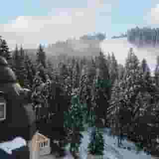 Festa Winter Palace, 3 of 5