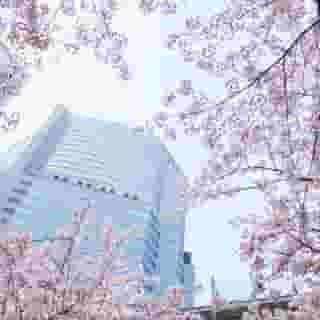 The Strings By Intercontinental Tokyo, 4 of 5