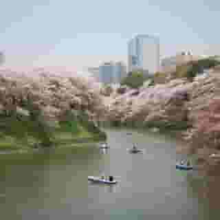 Diamond Hotel Tokyo, 5 of 5