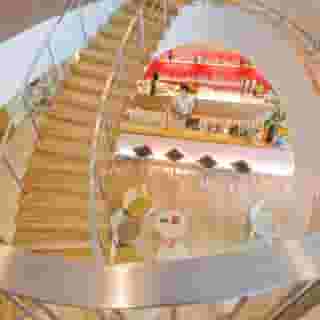 Novotel Vilnius Centre, 3 of 5