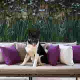 Dominion Polanco Suites, 5 of 5