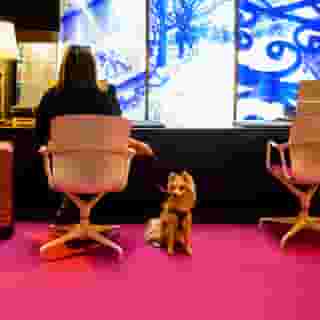 Las Suites Campos Eliseos, 2 of 5