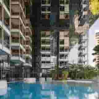 Pan Pacific Orchard, 4 of 5