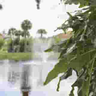 Hilton Vacation Club Polynesian Isles Kissimmee, 5 of 5