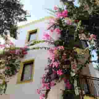 Club la Luna, 5 of 5