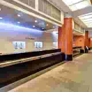 Embassy Suites by Hilton Chicago Downtown Magnificent Mile, 4 of 5