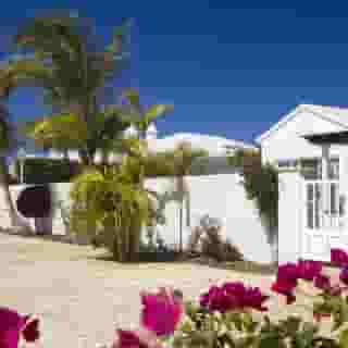 Gran Alondra, 4 of 5