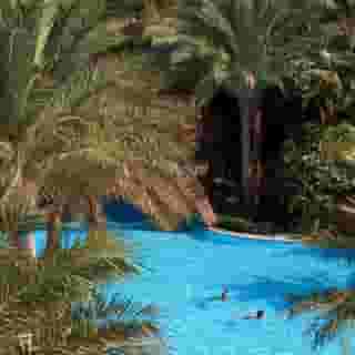 Baron Palms Resort - Adults Only (16+), 4 of 5