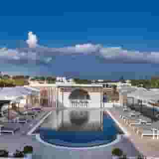 Petri Suites, 1 of 5