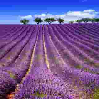 Holiday Inn Nice, 4 of 5