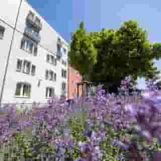 Novina Tillypark Hotel, 3 of 5