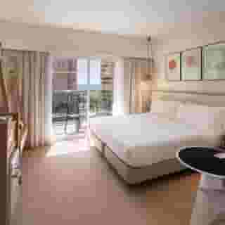 Sol Principe, 6 of 6