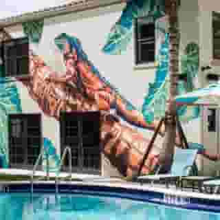 Generator Miami, 2 of 5