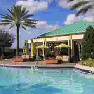 Hilton Orlando Bonnet Creek Disney World, 4 of 5