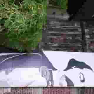 Hotel Litteraire Gustave Flaubert, Bw Signature Co, 2 of 5