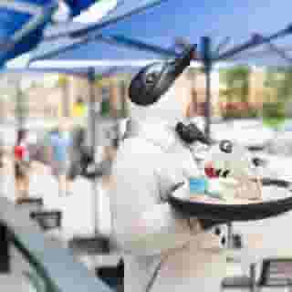 Penguin Hotel, 4 of 5