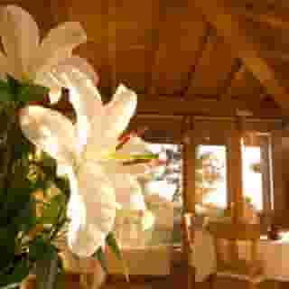 Casa Camila, 2 of 5