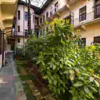 Amber Gardenview Studios, 1 of 5