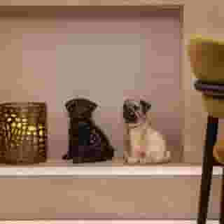 Borghese Contemporary Hotel, 3 of 5