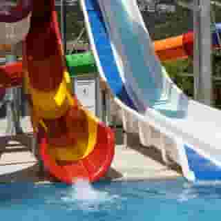 Kleopatra Royal Palm, 3 of 5