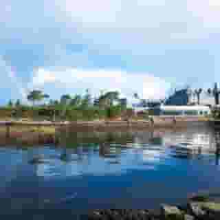 Parknasilla Resort & Spa, 4 of 5