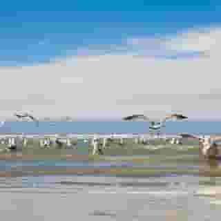 Hotel Mercure Blankenberge Station, 4 of 5