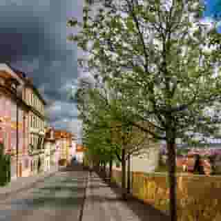 The King Charles, 1 of 5