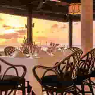 Coral Reef Club, 3 of 5