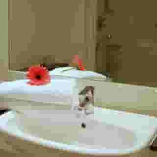 Maldron Hotel Smithfield, 5 of 5