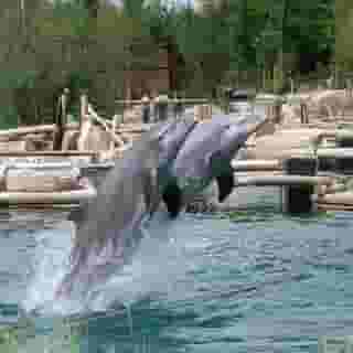 Best Living Arotel Nurnberg, 4 of 5