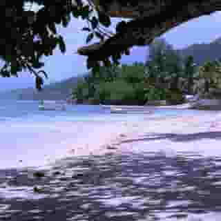 Reef Holiday, 6 of 6