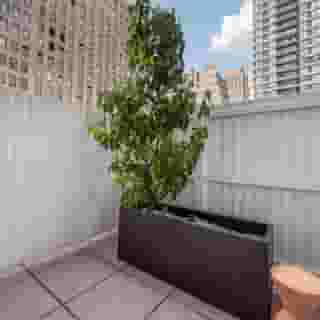 The Herald by LuxUrban, 2 of 5