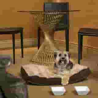 Executive Le Soleil, 5 of 5