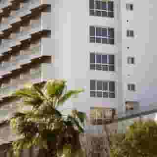 Medium Valencia, 2 of 5