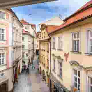 The Dominican, 2 of 5