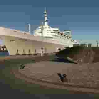 SS Rotterdam by Westcord Hotels, 2 of 5