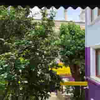 The Zanadu Istanbul, 4 of 5