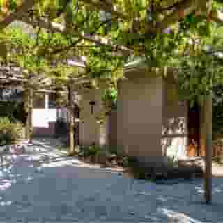 White Olive Premium Lindos, 5 of 5